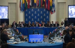 OAS họp bất thường bàn về tình hình Venezuela 